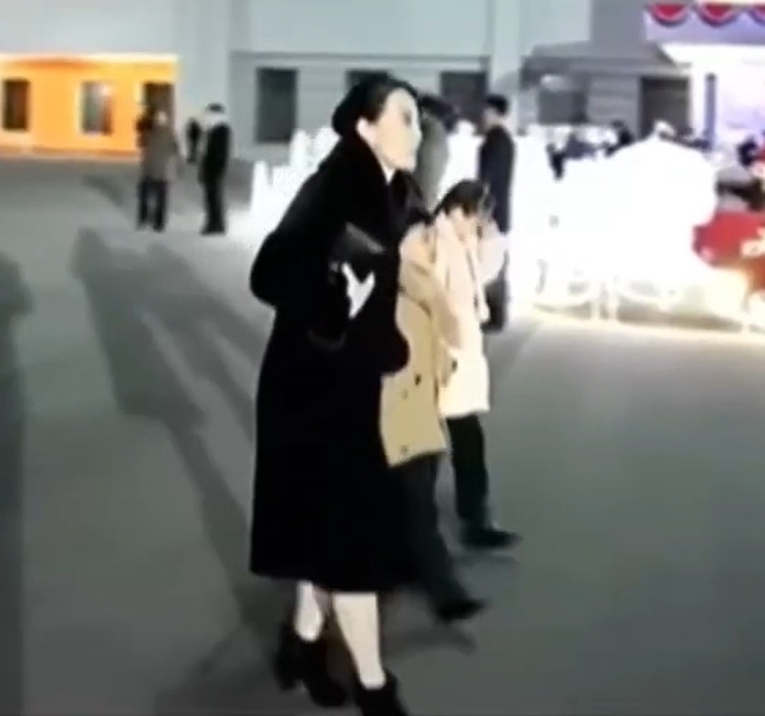 The young boy and girl were spotted at Pyongyang's New Year celebration but held close by their mother