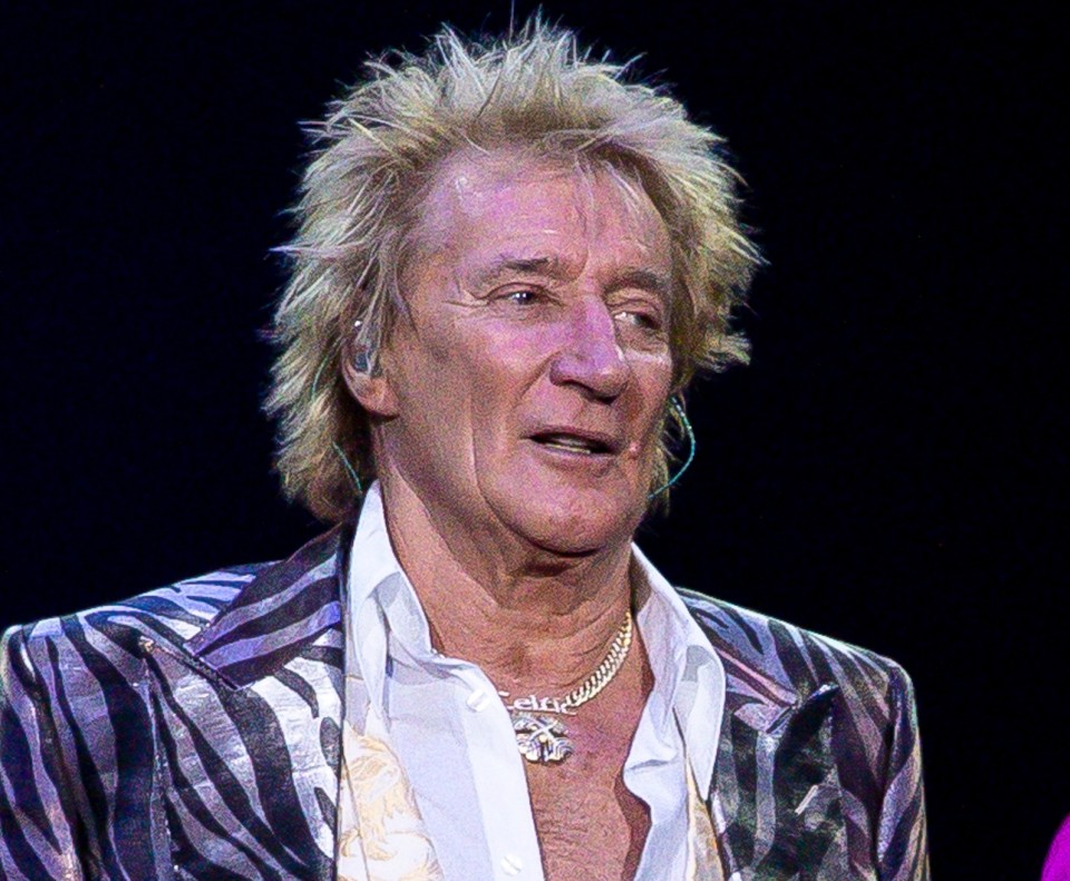 Rod Stewart performing on stage.