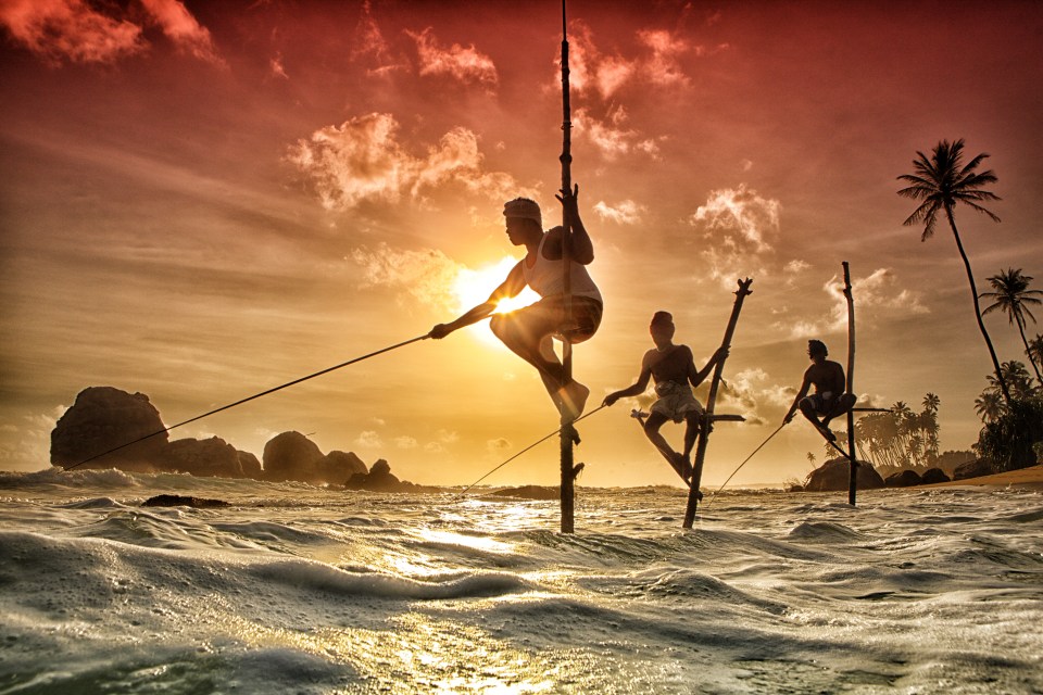 Stilt fishermen fishing at sunset in Sri Lanka.