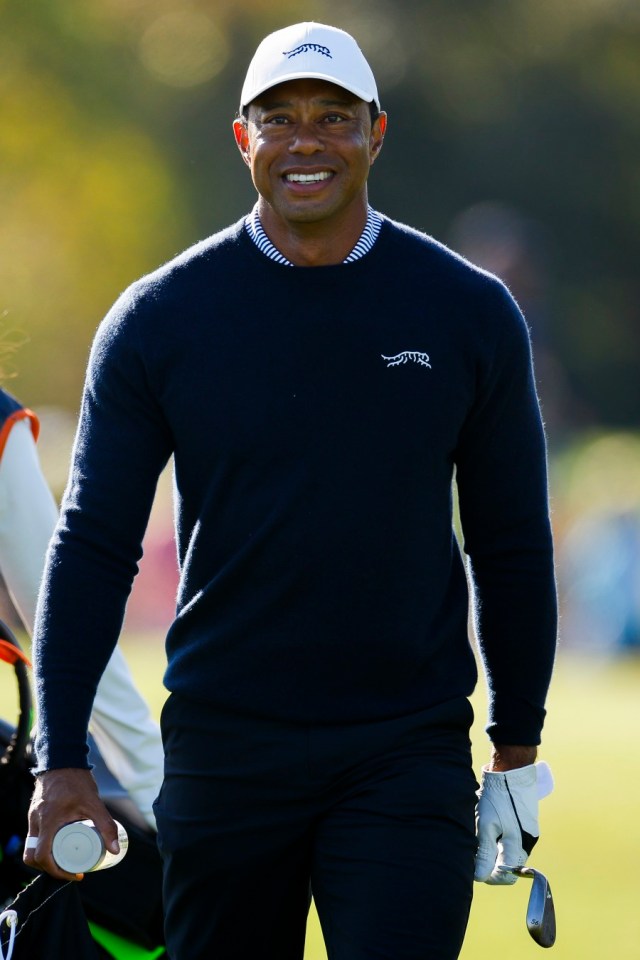 Tiger Woods has landed a £8million windfall after playing in just five events all year