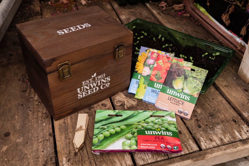 Wooden seed box with various seed packets and seedlings.