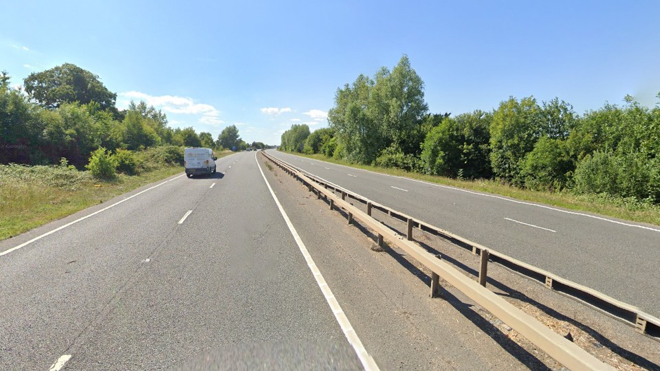 The man launched his attack on the A47 at Brundall, Norfolk