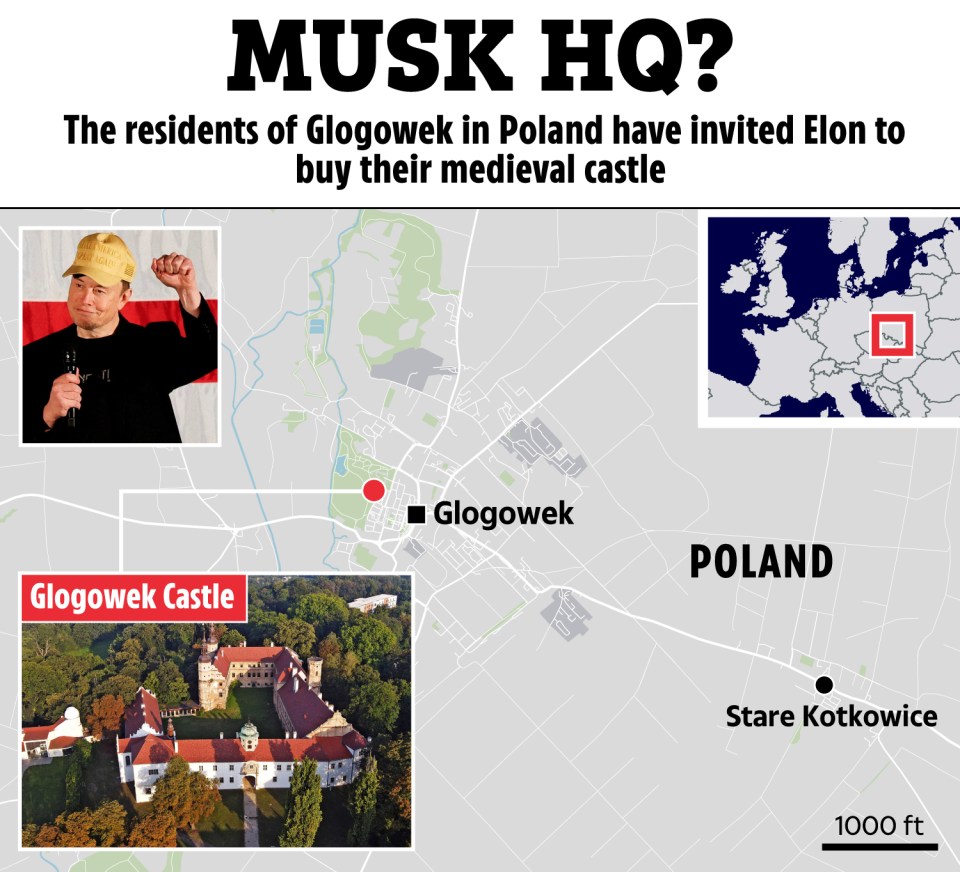 Illustration of Elon Musk, a map showing Glogowek Castle in Poland, and a request for him to buy the castle.