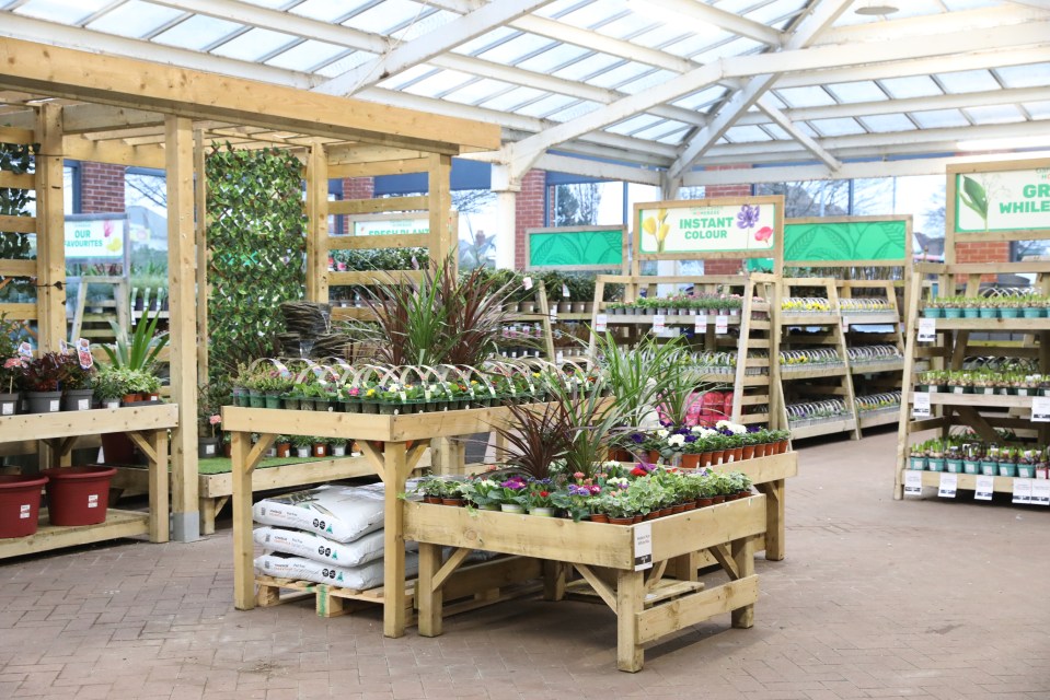 Interior of a garden center with plants on display.