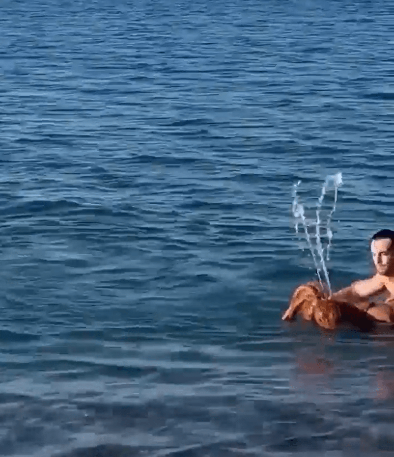 Person playing with dog in the water.