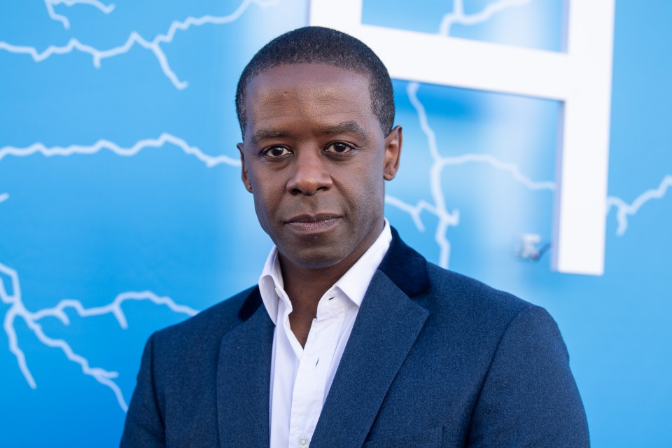 Adrian Lester at a premiere.