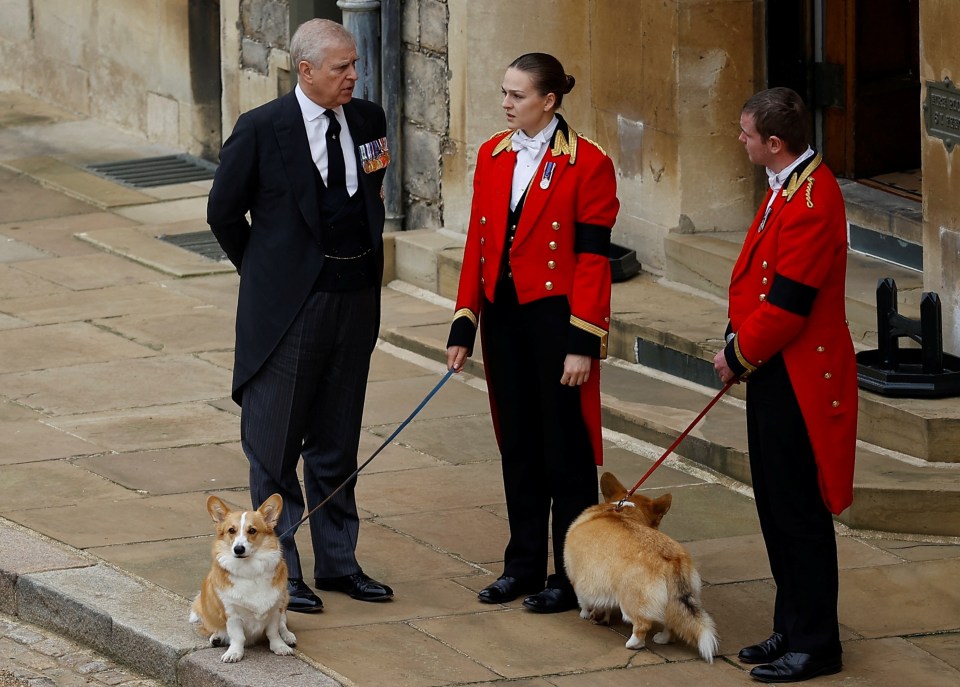 Prince Andrew with Queen Elizabeth II's corgis awaiting the funeral cortege.