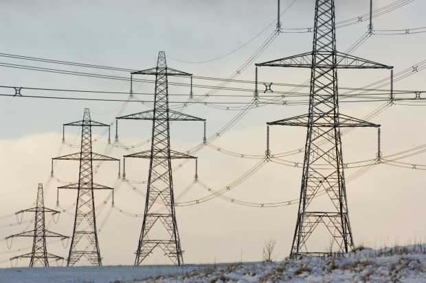 Electricity pylons in a snowy field.