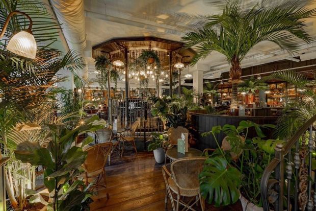 Interior of The Botanist bar and restaurant, featuring lush greenery and wicker seating.