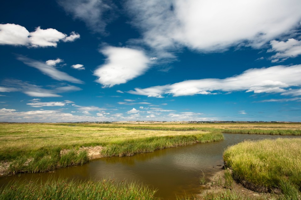 Creeks at Elmley Marshes nature reserve.