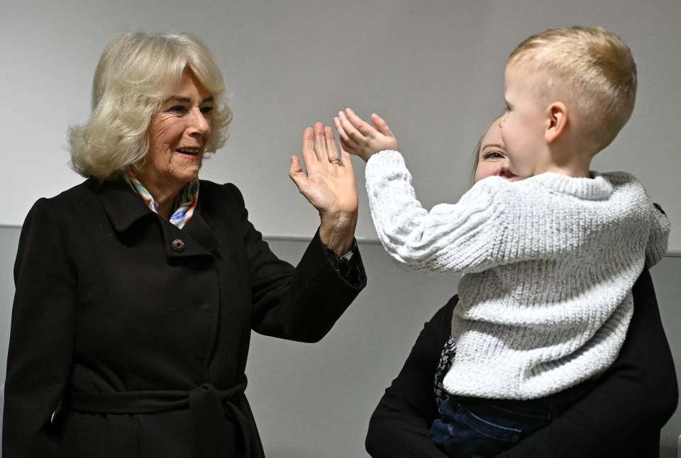 Queen Camilla high-fiving a blind patient.