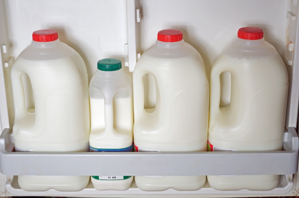 Three large and one small milk containers in a refrigerator.