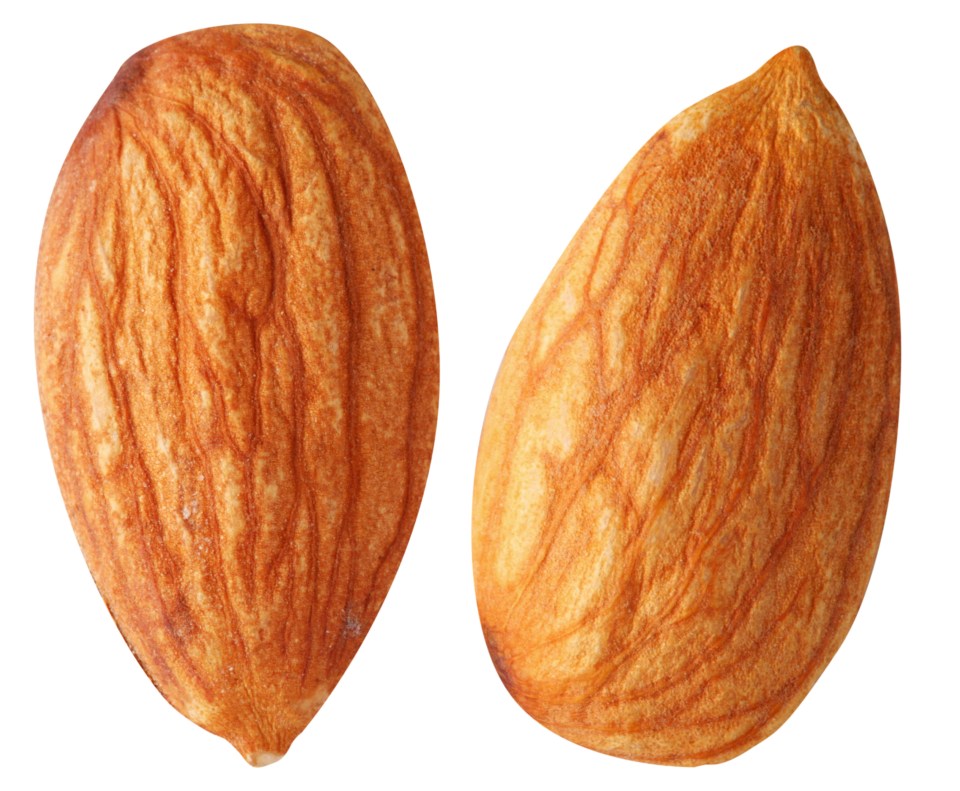 Two almonds isolated on white background.