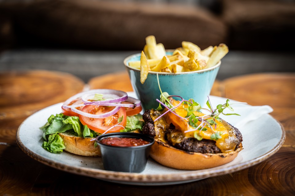 Cheeseburger with lettuce, tomato, and onion, served with french fries and sauce.