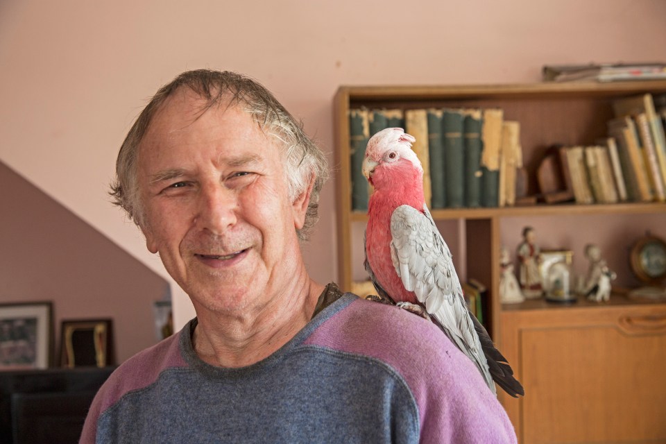 A man with a galah on his shoulder.