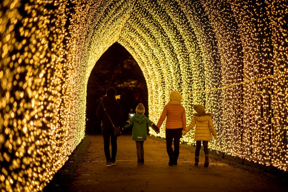 Family walking through a tunnel of Christmas lights.