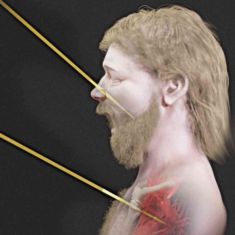 Reconstruction of the face of the Porsmose man, a prehistoric man killed by arrows 5,600 years ago.