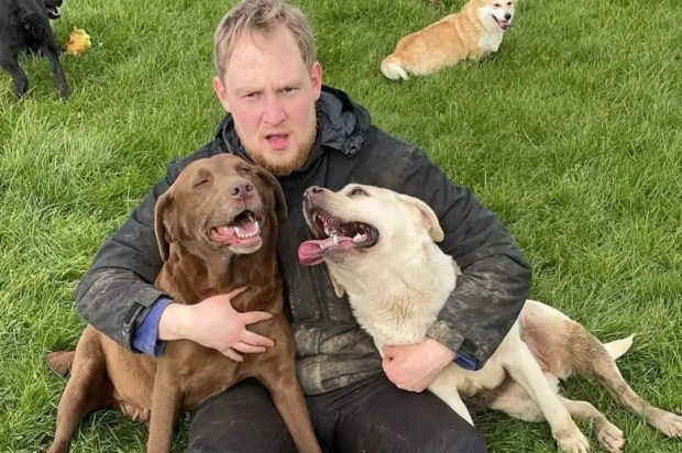 Man sitting on grass with two Labrador Retrievers.