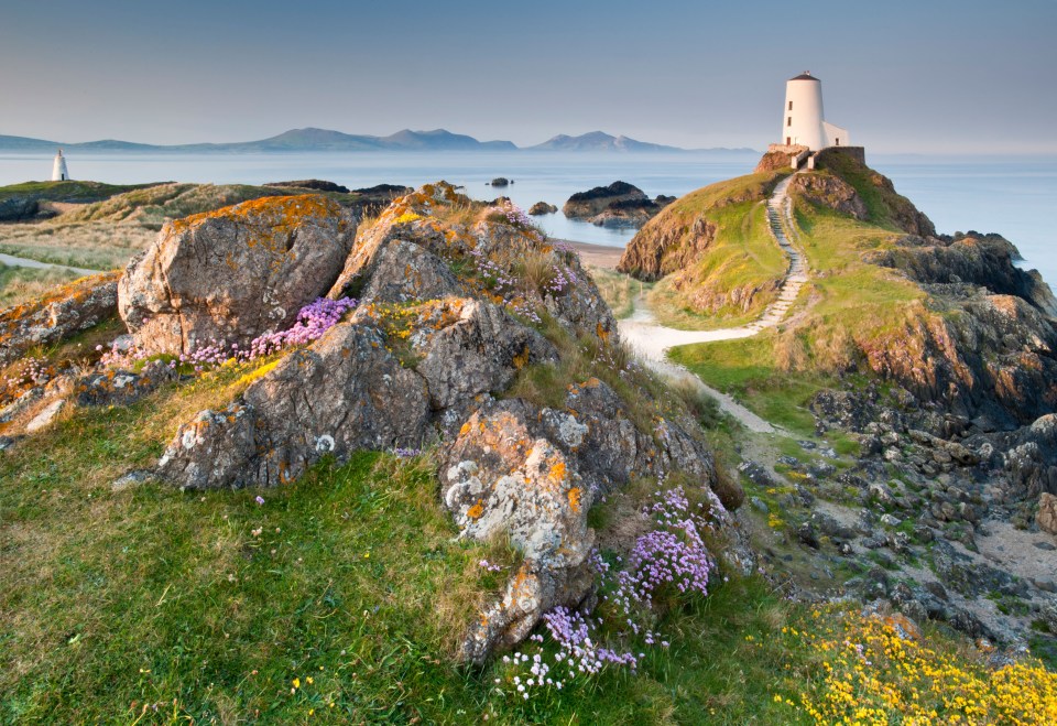 Visitors often flock to the island on January 25, the Welsh equivalent of Valentine's Day