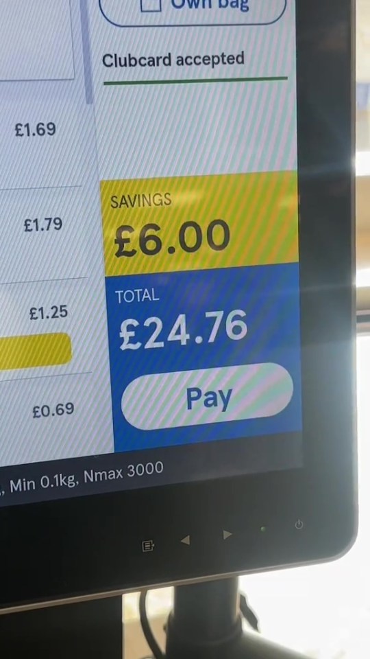 Tesco self-checkout screen showing a £24.76 total, including £6.00 savings.