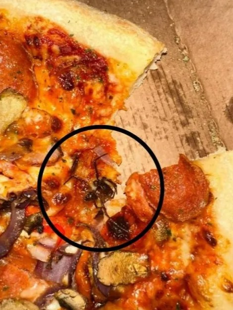 Spider in Pizza Hut pizza.