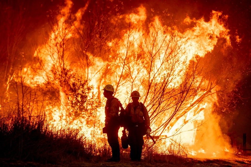 Firefighters battling a wildfire.