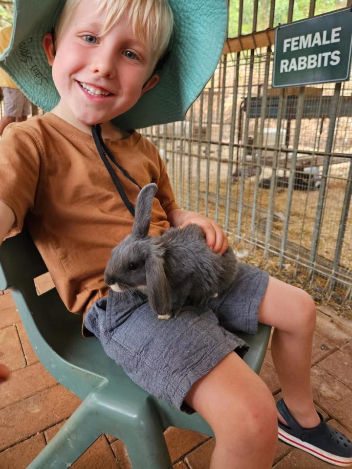 Young boy holding a gray rabbit.