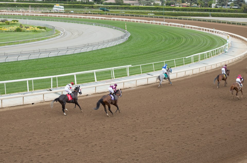 Horse race at Santa Anita Park.