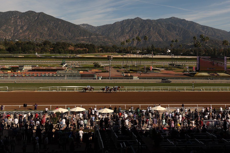 Horse race at Santa Anita Park.