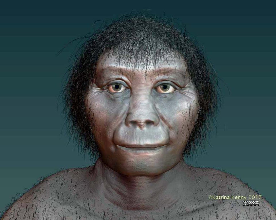 Homo floresiensis fossils were first discovered in 2003 on the Indonesian island of Flores