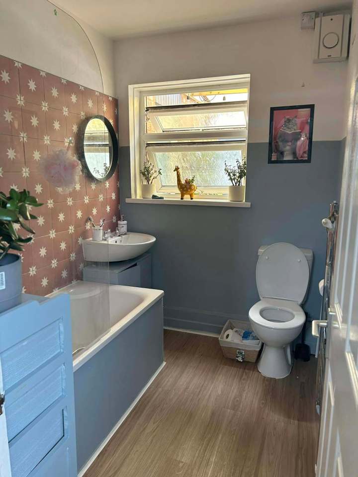 Renovated bathroom with pink star tile, light blue walls, and wood-look flooring.