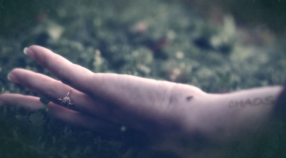 Hand resting on moss with a ring and the word "chaos" written on it.