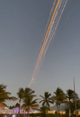 Contrails over palm trees at dusk.