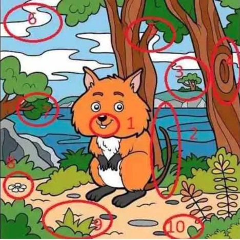 A cartoon quokka in a forest scene with numbered details.