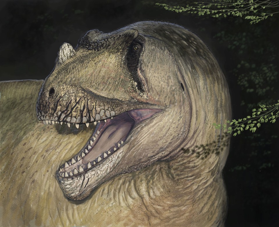 Illustration of *Tameryraptor markgrafi*, a theropod dinosaur.