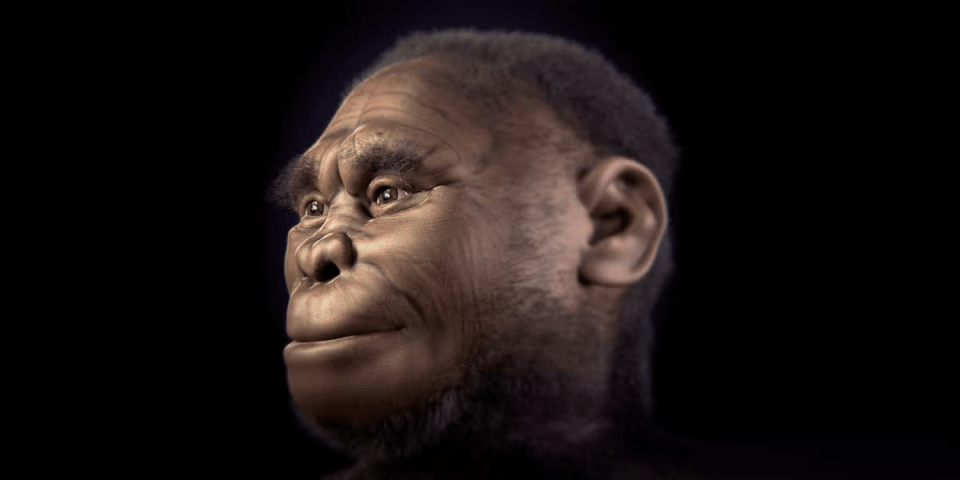 A computer-generated image of how the hobbit people may have looked