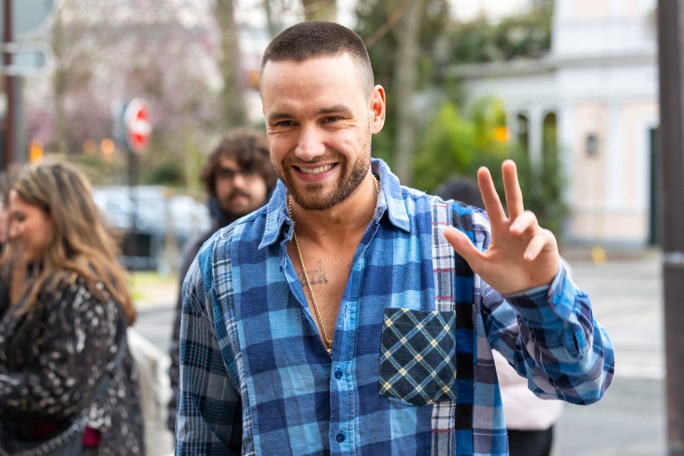 Liam Payne waving to fans.