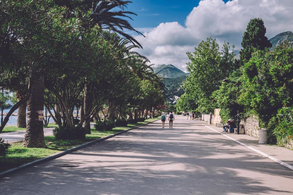 Promenade in Bar, Montenegro, with palm trees and people walking.