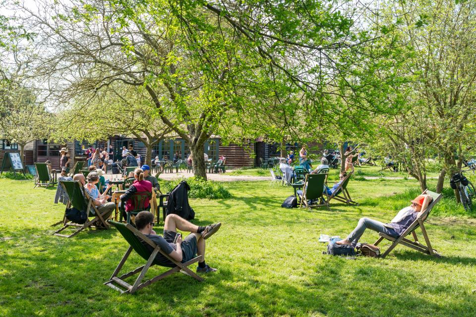 People relaxing and enjoying tea outdoors at a garden tea room.