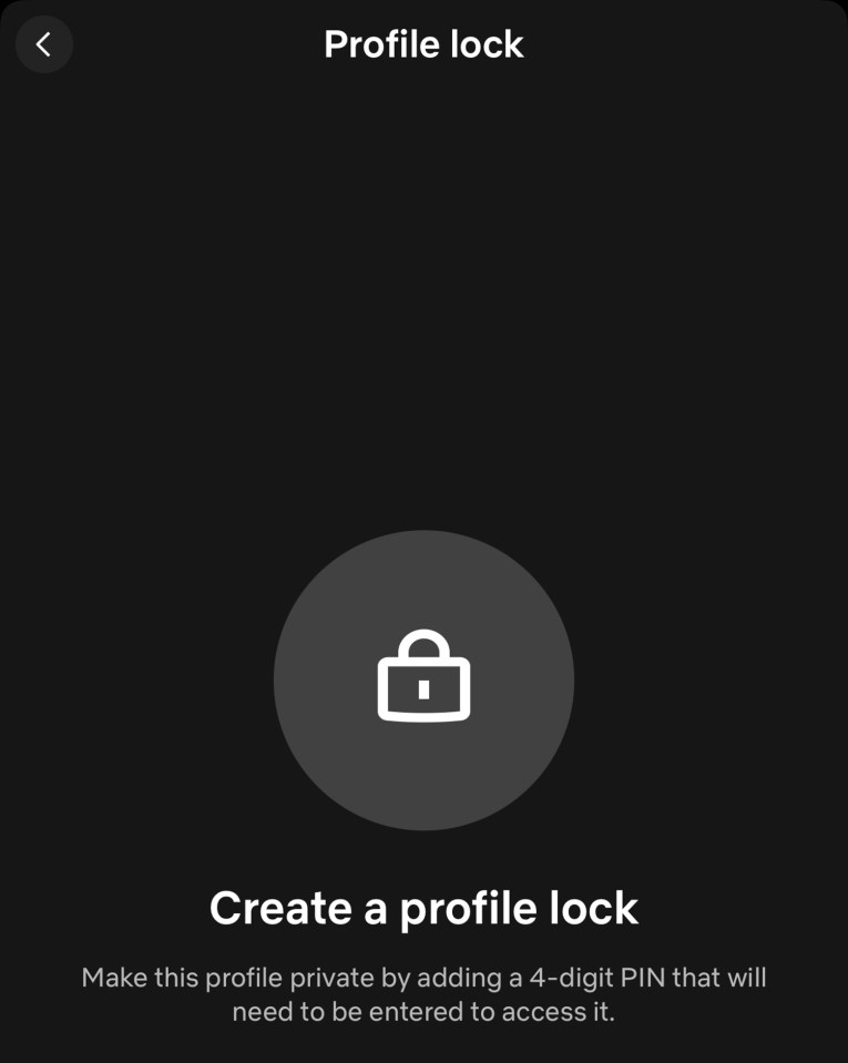 Netflix profile lock screen with a padlock icon.