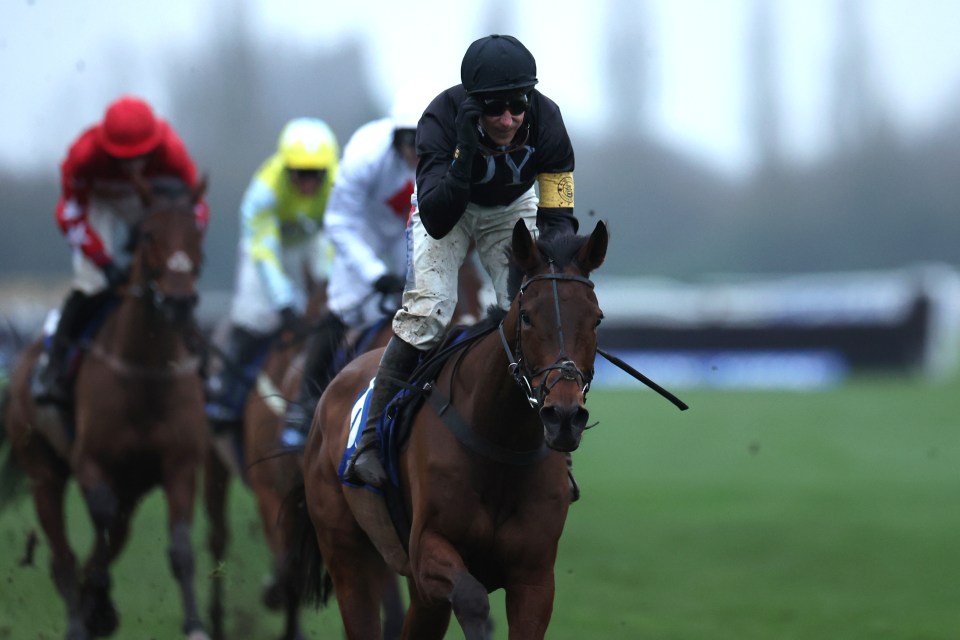 Harry Skelton cruises to victory in the Challow on The New Lion, who has been bought by JP McManus