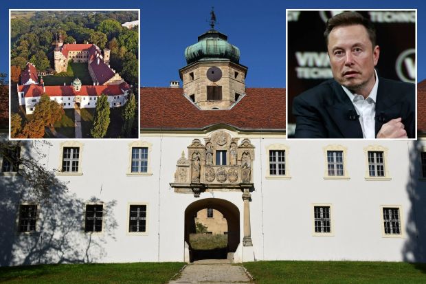 Collage of a castle, its gate, and Elon Musk.