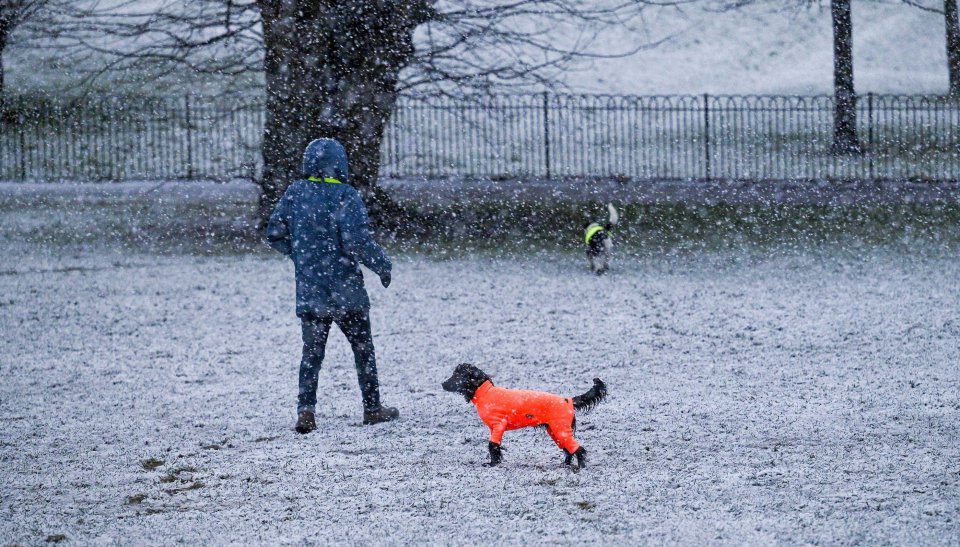 Snow came down thick and fast in Brighton