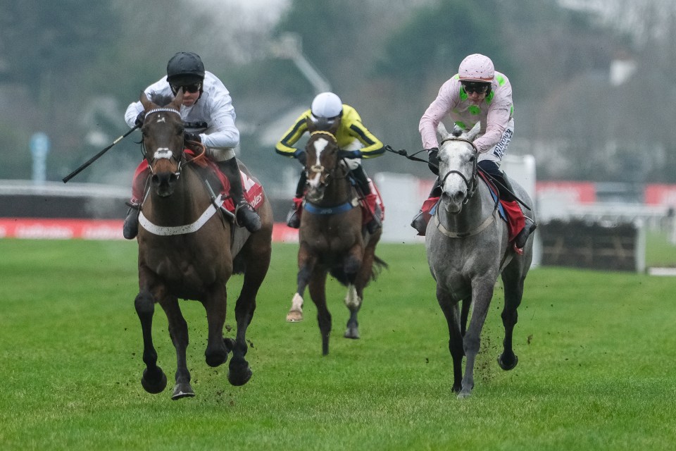 Horse race: three horses and jockeys nearing the finish line.