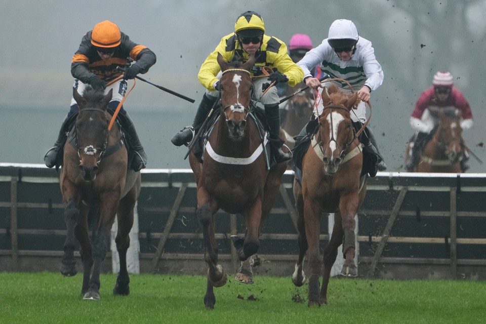 Three jockeys race their horses towards the finish line.