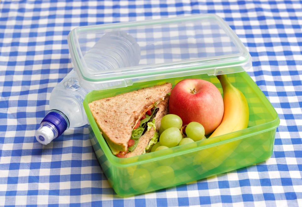 Healthy packed lunch in a green container with sandwich, apple, banana, grapes, and water bottle.