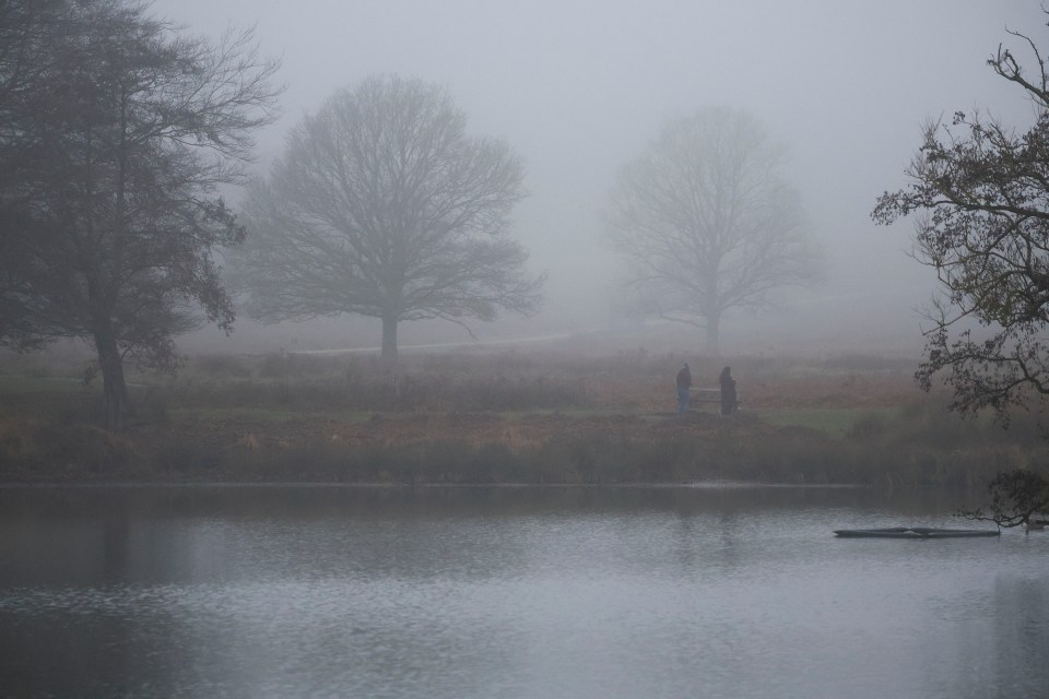 Two people stand by a pond in a foggy park.