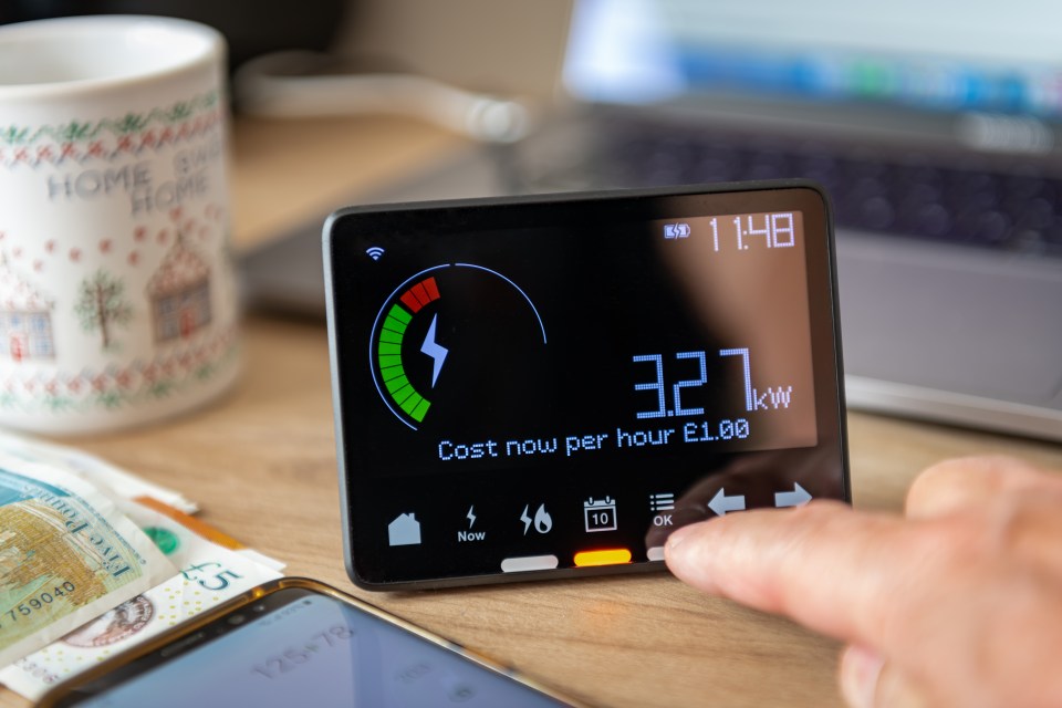 Person using a smart meter to check rising home energy costs.