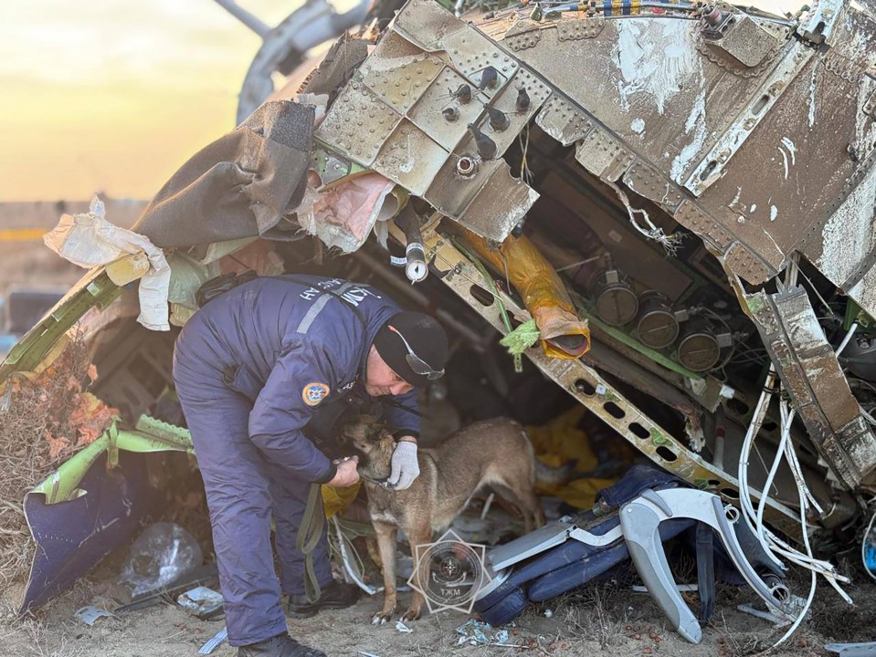 Emergency worker with a dog at an airplane crash site.