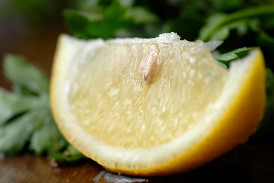 Close-up of a lemon slice with a pip.